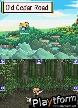 Mystery Dungeon: Shiren the Wanderer (DS)