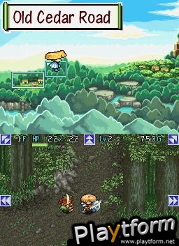 Mystery Dungeon: Shiren the Wanderer (DS)