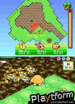 Eco-Creatures: Save the Forest (DS)