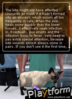 Pet Pals: Animal Doctor (DS)