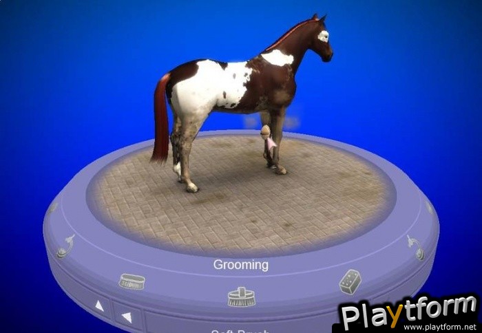 My Horse & Me (Wii)