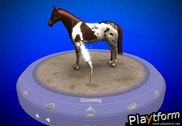 My Horse & Me (Wii)