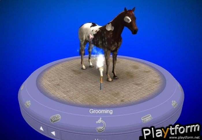 My Horse & Me (Wii)