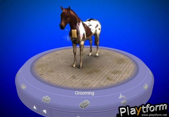 My Horse & Me (Wii)