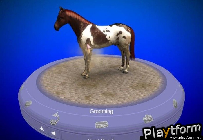 My Horse & Me (Wii)