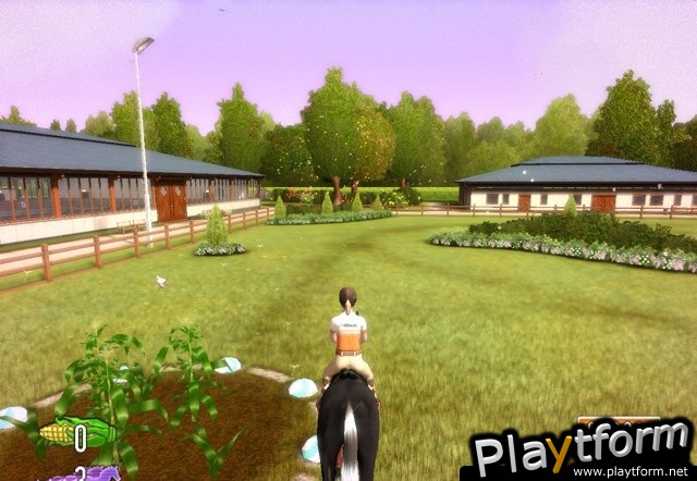 My Horse & Me (Wii)