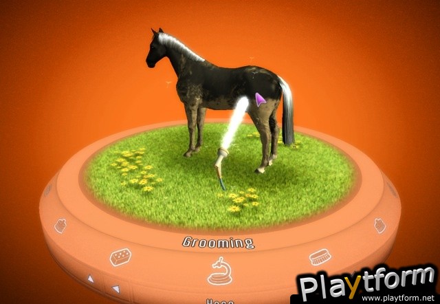 My Horse & Me (Wii)