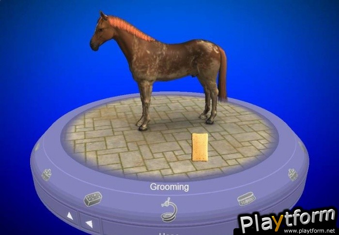 My Horse & Me (Wii)