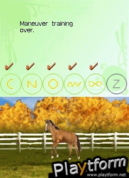 My Horse & Me (DS)