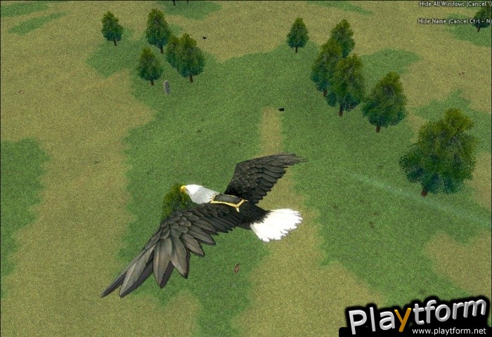 Mabinogi (PC)