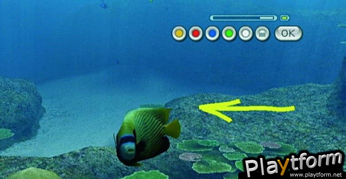 Endless Ocean (Wii)