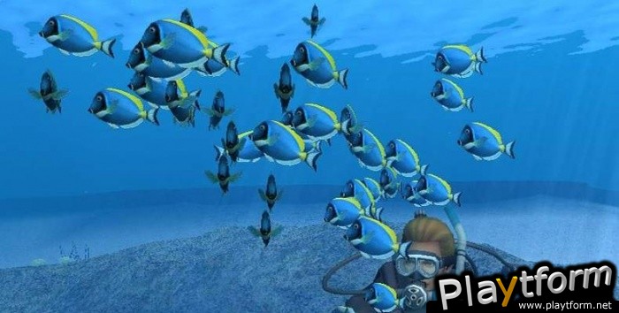 Endless Ocean (Wii)