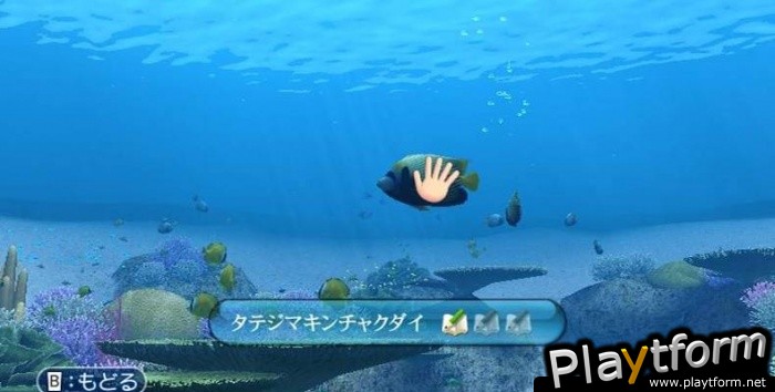 Endless Ocean (Wii)