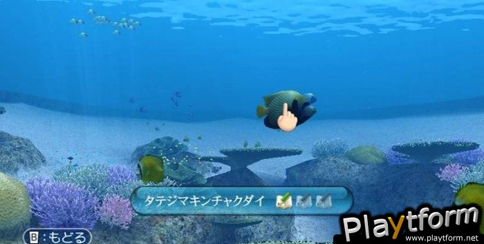 Endless Ocean (Wii)