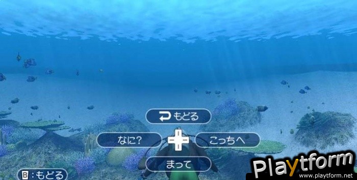 Endless Ocean (Wii)