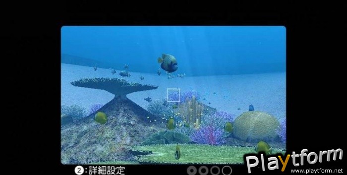 Endless Ocean (Wii)