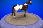 My Horse & Me (Wii)