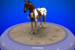 My Horse & Me (Wii)