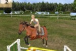 My Horse & Me (DS)