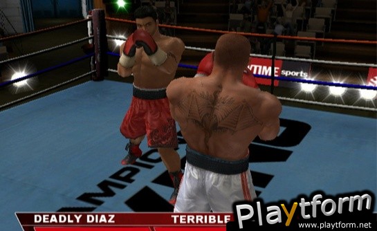 Showtime Championship Boxing (Wii)