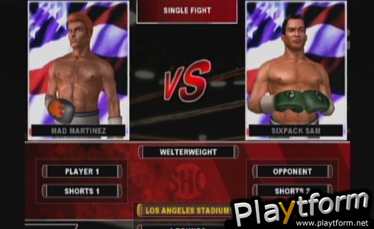 Showtime Championship Boxing (Wii)