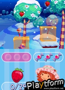 Strawberry Shortcake: The Four Seasons Cake (DS)