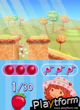 Strawberry Shortcake: The Four Seasons Cake (DS)