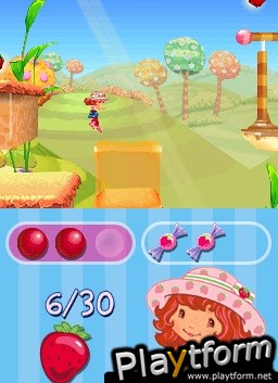 Strawberry Shortcake: The Four Seasons Cake (DS)