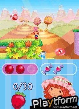 Strawberry Shortcake: The Four Seasons Cake (DS)