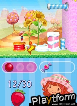 Strawberry Shortcake: The Four Seasons Cake (DS)