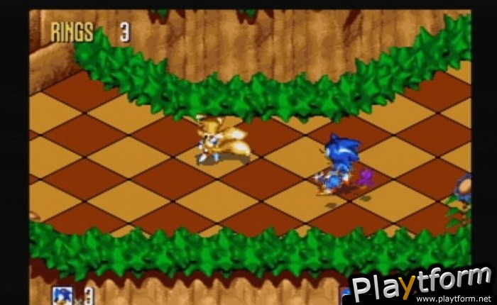 Sonic 3D Blast (Wii)