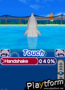 My Pet Dolphin (DS)