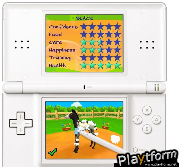 Petz: Horsez 2 (DS)