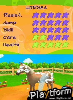 Petz: Horsez 2 (DS)