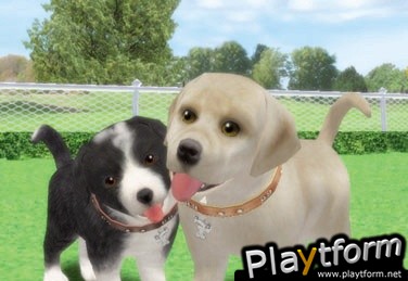 Petz: Dogz 2 (PC)