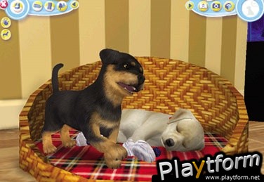 Petz: Dogz 2 (PC)