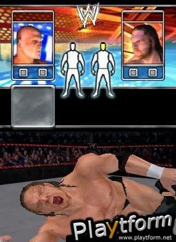 WWE SmackDown vs. Raw 2008 (DS)