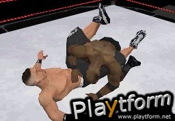 WWE SmackDown vs. Raw 2008 (DS)