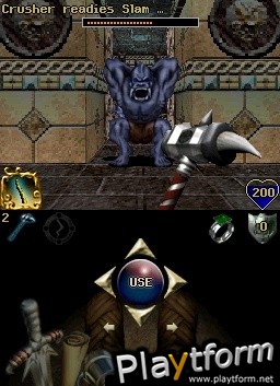 Orcs & Elves (DS)