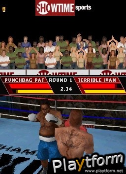 Showtime Championship Boxing (DS)