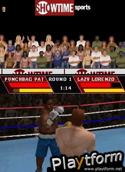 Showtime Championship Boxing (DS)