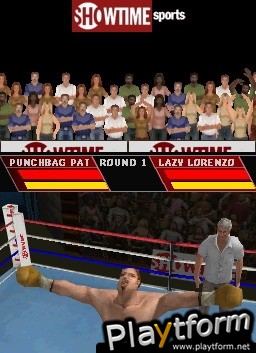 Showtime Championship Boxing (DS)