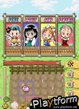 Puzzle de Harvest Moon (DS)