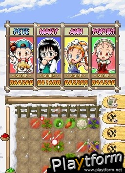 Puzzle de Harvest Moon (DS)