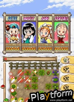 Puzzle de Harvest Moon (DS)