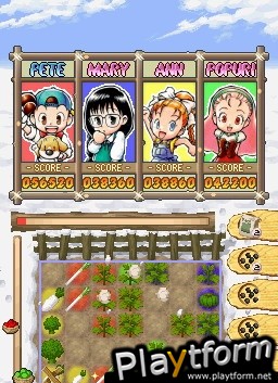 Puzzle de Harvest Moon (DS)