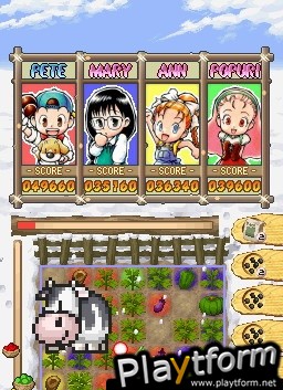 Puzzle de Harvest Moon (DS)