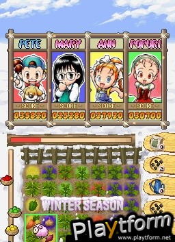 Puzzle de Harvest Moon (DS)