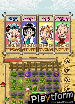 Puzzle de Harvest Moon (DS)