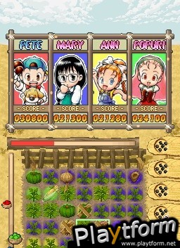 Puzzle de Harvest Moon (DS)